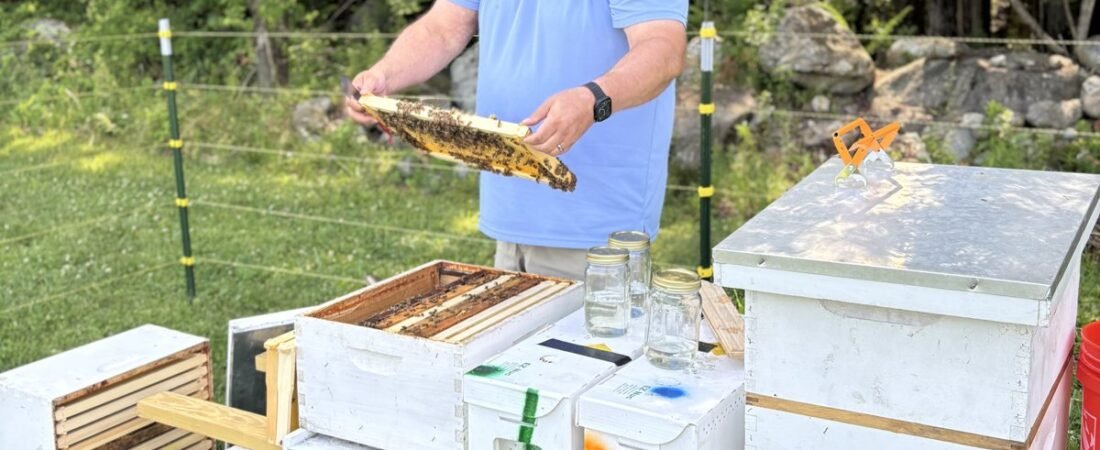 Second Try at Bees