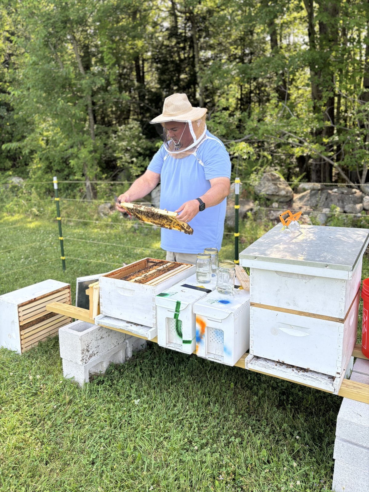 Second Try at Bees